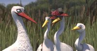 Frank-Bohn-Costuemdesign-Flamingo-Pride-StorkAndGirls